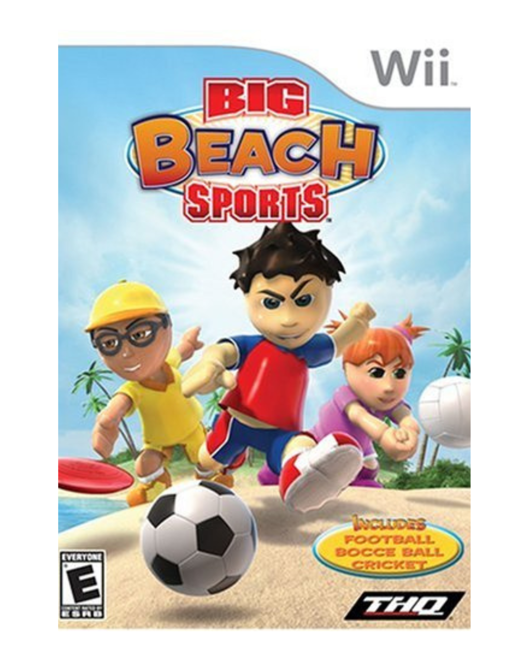 Big Beach Sports Wii